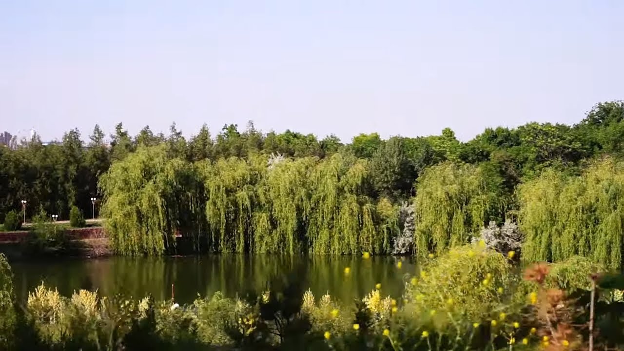 Открывай Шымкент: дендропарк имени А. Аскарова