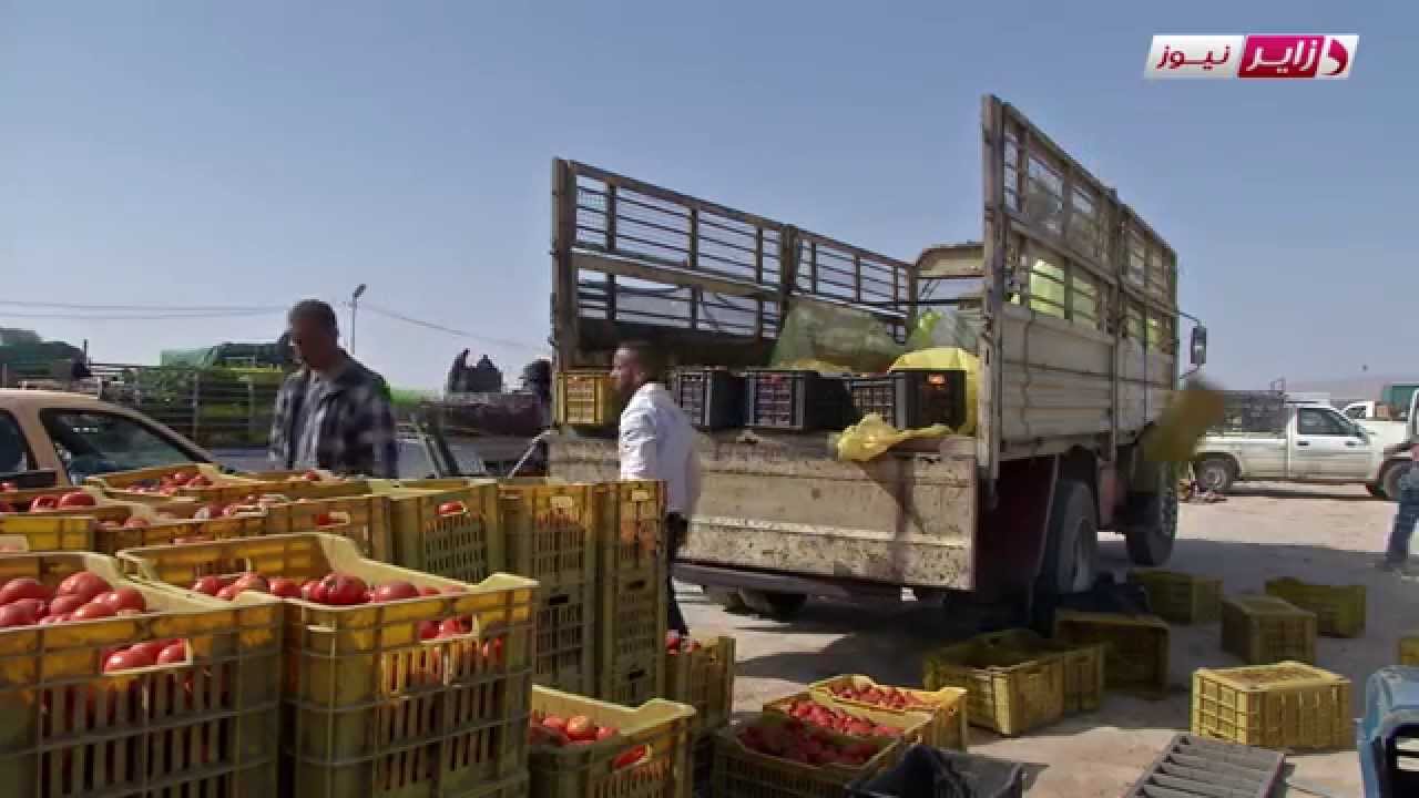 رواد سوق الجملة لعين الناقة ببسكرة يشكو التدهور رغم تميزه