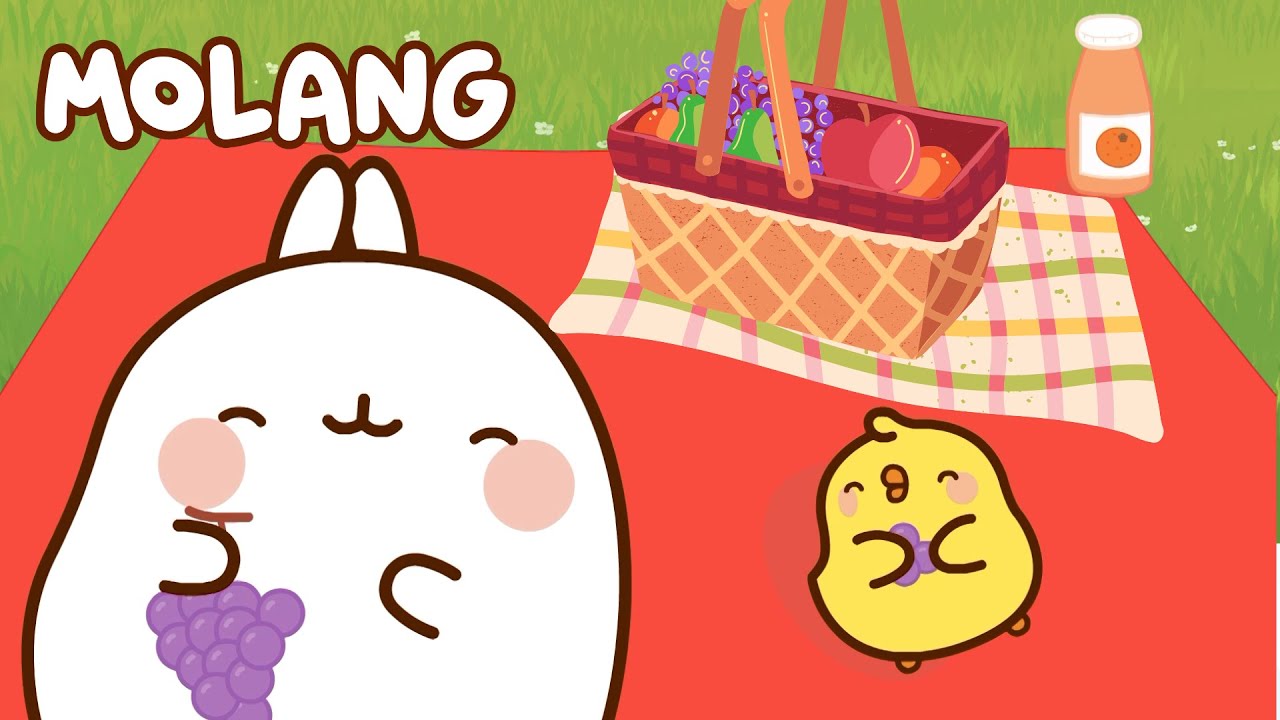 Molang and Piu Piu Picnic Time 🍲🥙 MOLANG and Piu Piu | Funny Cartoons for Kids