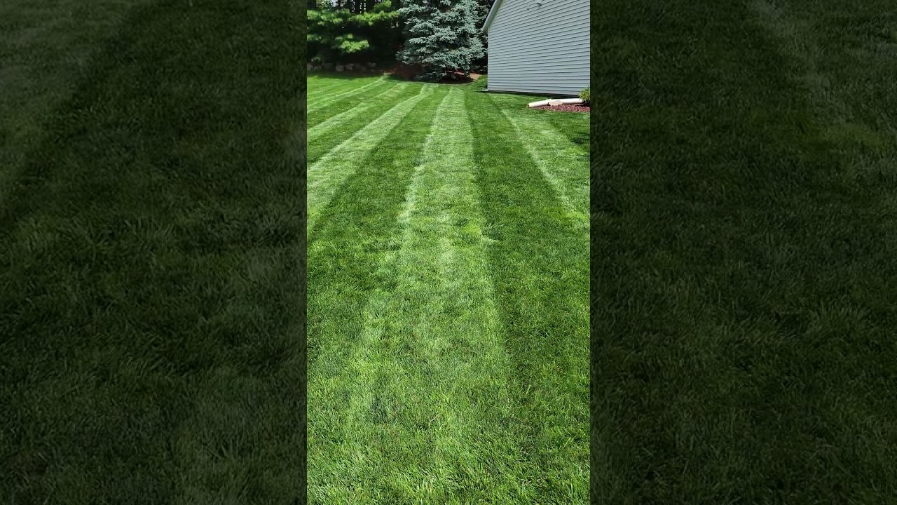 Dark Green Lawn Stripes 