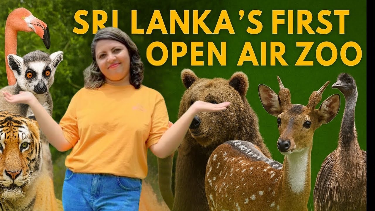 ලංකාවෙ පලවෙනි Open-Air Zoo එක බලමුද | Pinnawala Zoo | Sri Lanka’s First Open Air Zoo