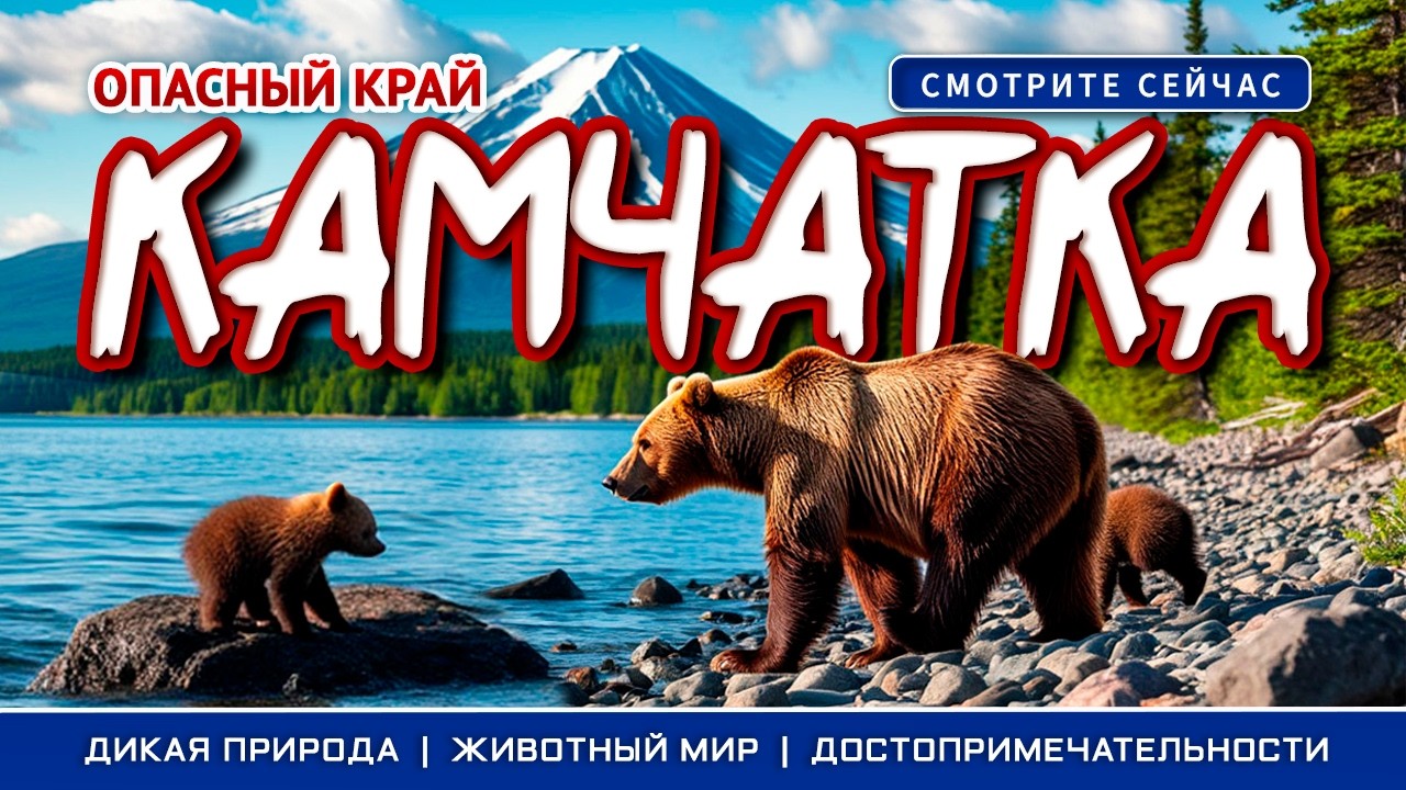 КАМЧАТКА!!! Опасный КРАЙ Медведей!!! #россия #море