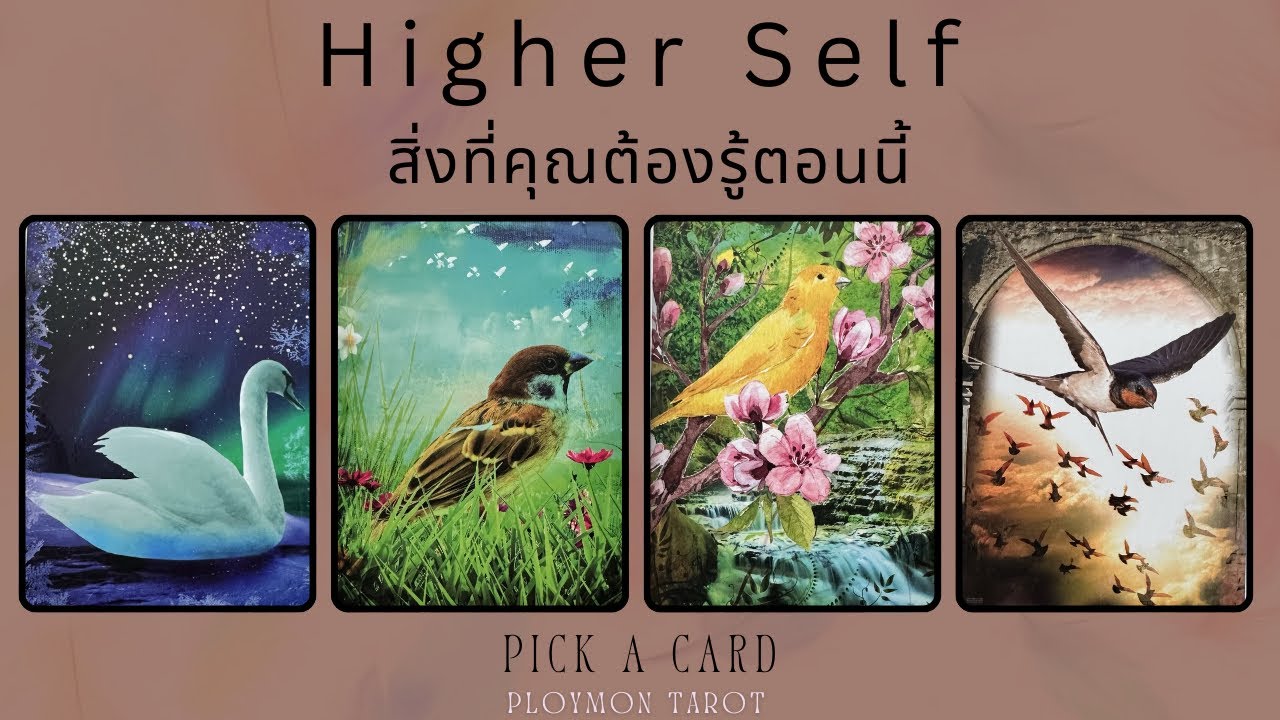 ข้อความจาก Higher Self สิ่งที่คุณต้องรู้ตอนนี้ | Higher Self Message #pickacard 