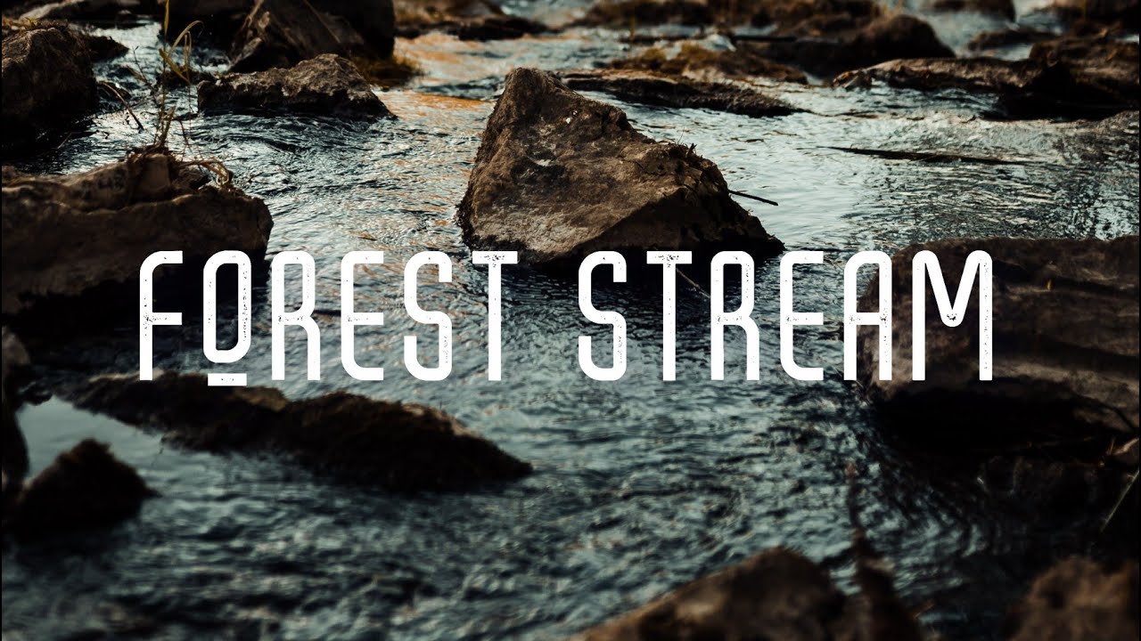 FOREST STREAM | 1 HOUR OF QUIET RIVER AMBIENCE FOR DEEP FOCUS, WORK AT HOME, STUDY, SLEEP, ASMR