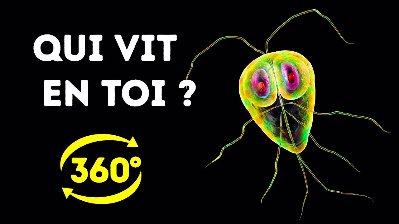 La vie secrète des bactéries dans ton corps
