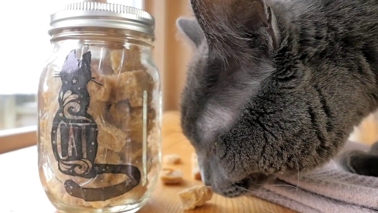 Homemade Cat Treats + Custom Jars
