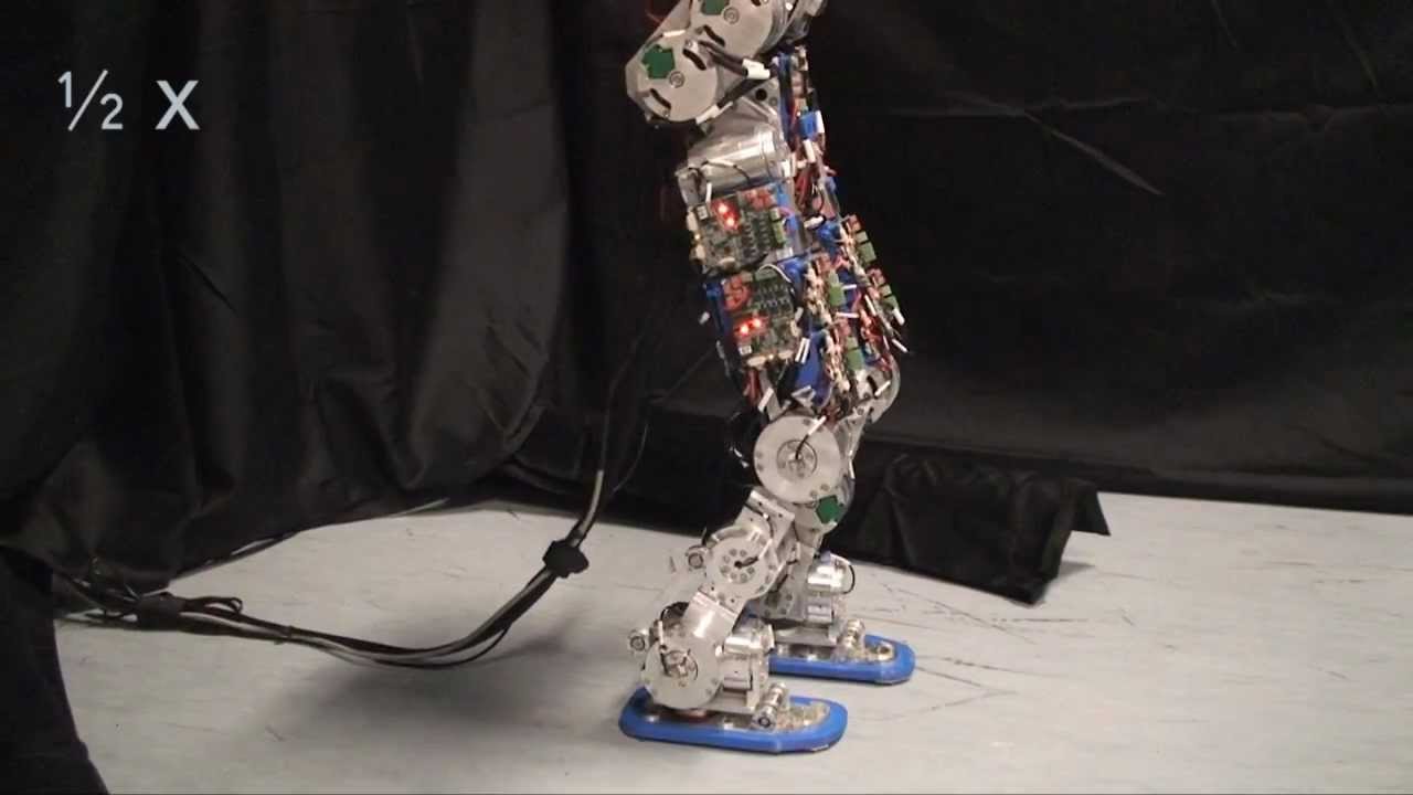 Compliant humanoid robot COMAN learns to walk efficiently