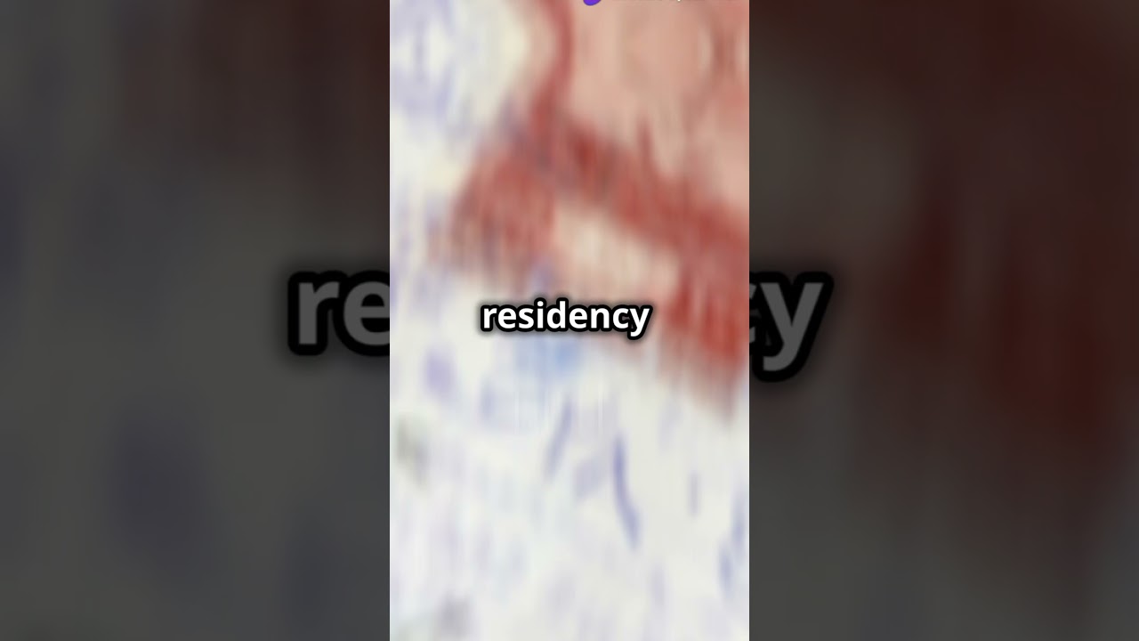 Saudi Arabia Announces Big Visa Policy  #saudiarabia  #hajj  #umrah  #visaupdate