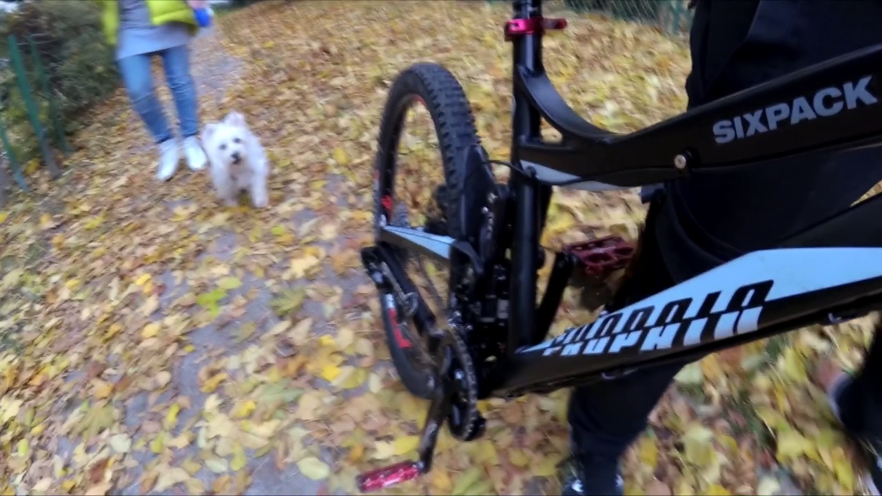 Propain Tyee Enduro Bike  Crash/Fail during suspension test