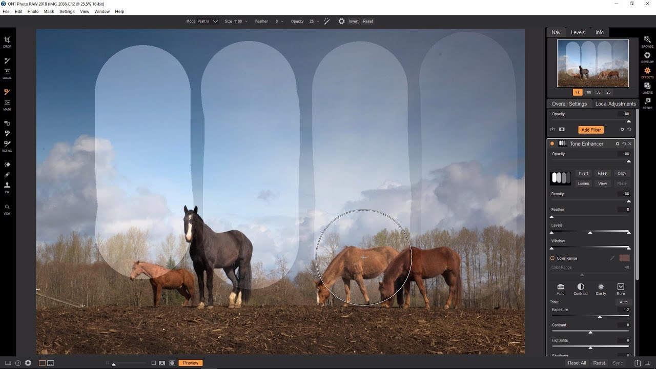 Using the Masking Brush in ON1 Photo RAW 2018