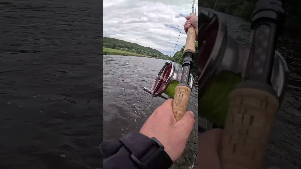 Spey casting is hard but don&rsquo;t give up! #fishing #flyfishing #scotland #river