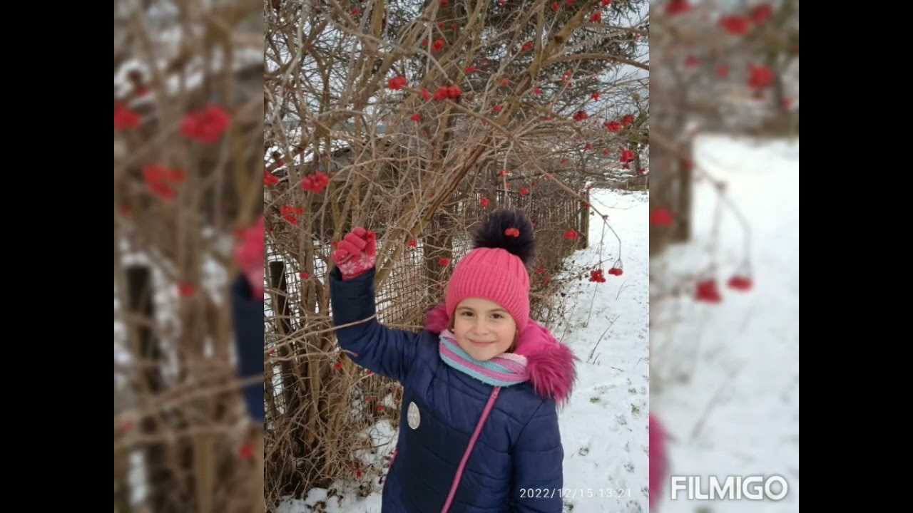 Фотоквест від Миколая 