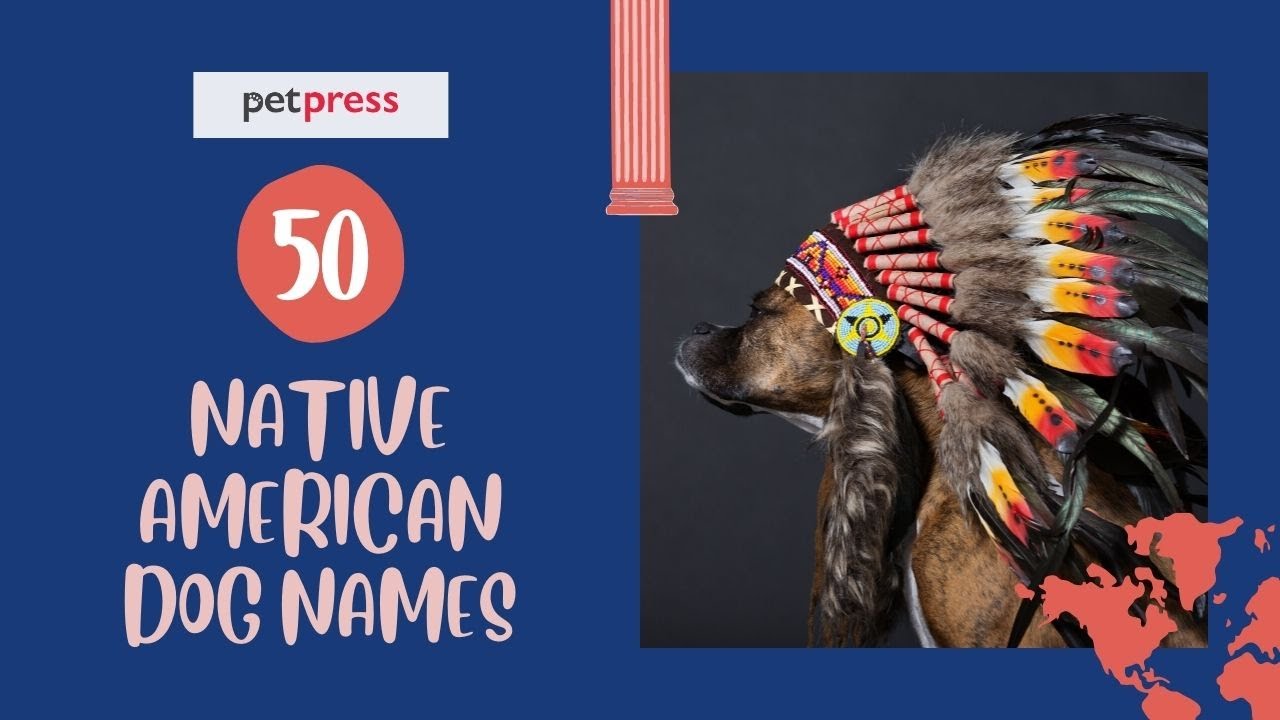 50 BEST Native American Dog Names | PetPress