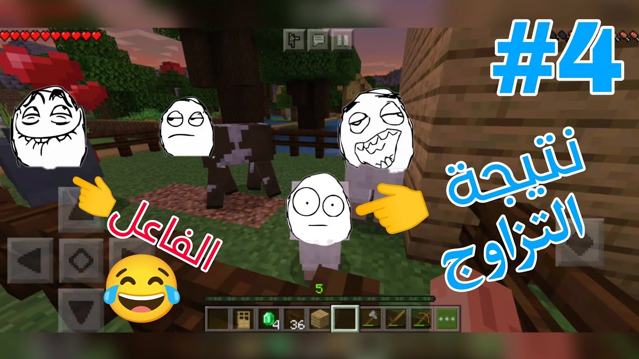 سويت مزرعة 🐑 في لعبة Minecraft خليتهم يتكاثرون 😂