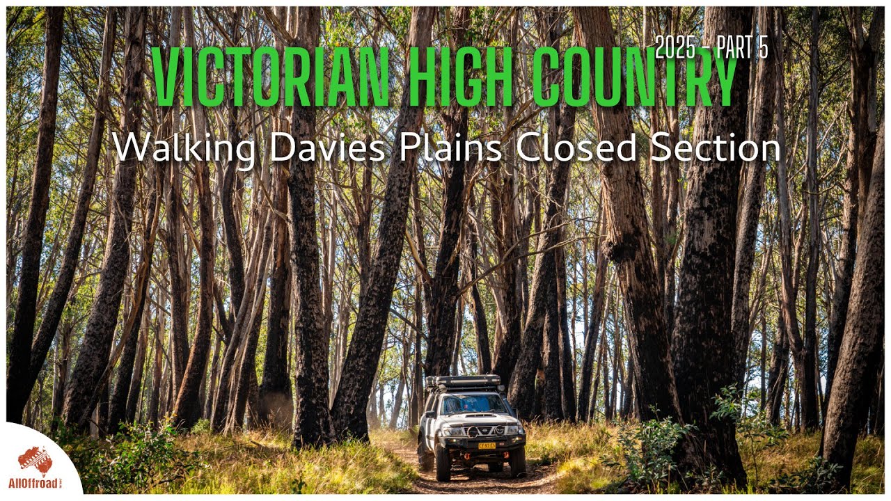Walking Davies Plains Closed Section - Victorian High Country Part 5