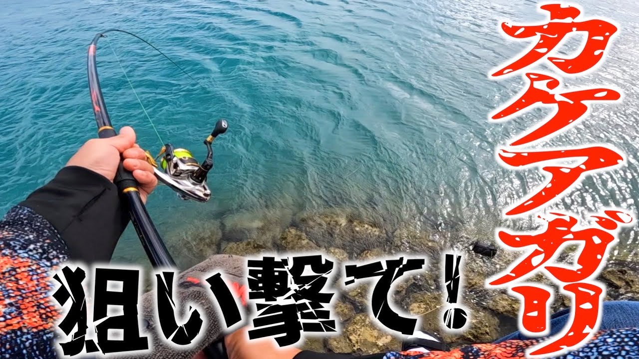 【沖縄チヌ】石畳ポイントで駆け上がりを狙ったらチヌ釣れました。