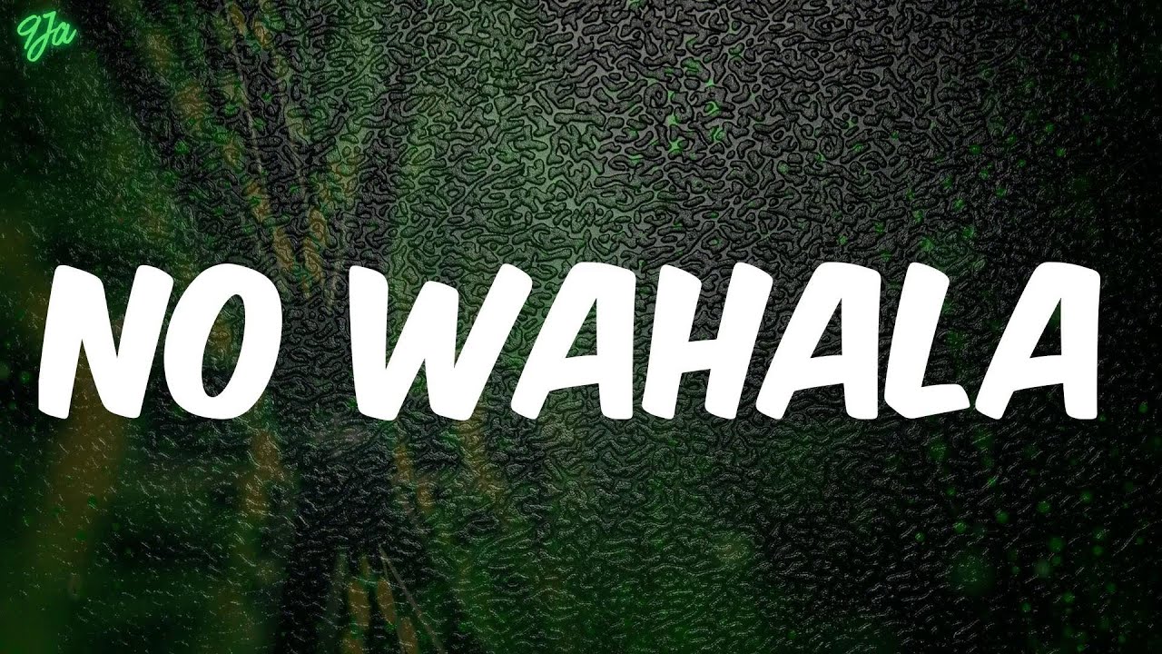 No Wahala - 1da Banton (Lyrics)