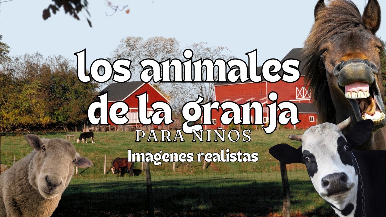 Los Animales de la Granja - Videos Educativos - Montessori Momers