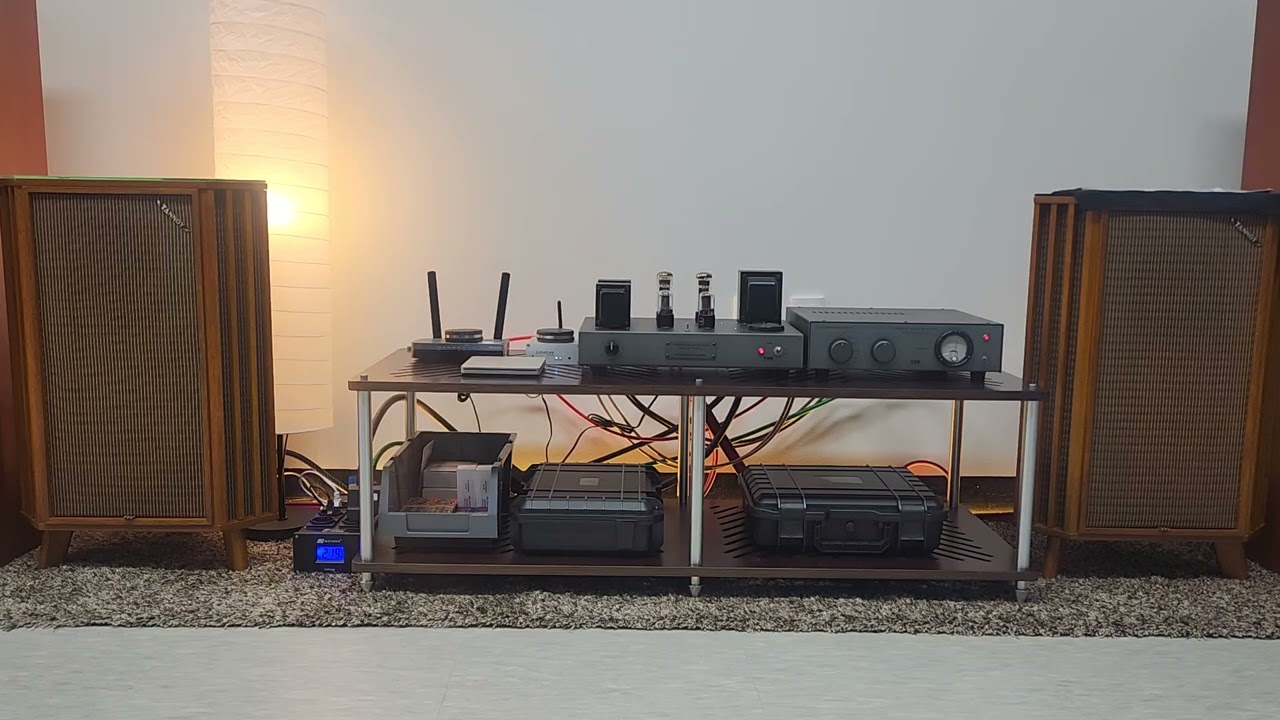 Supravox Full-Range & Single Tube Pre-Power Amp.(Fleetwood Mac_Songbird)