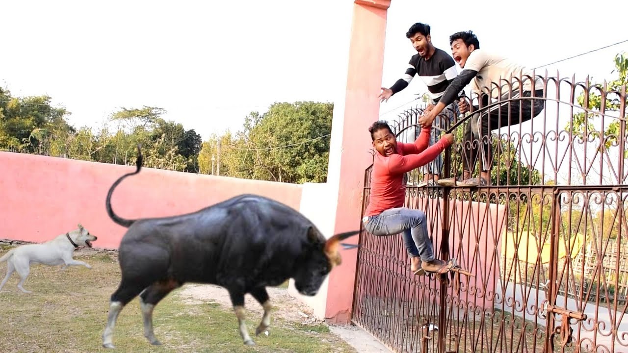 Best amazing  funniest video 2022 Nonstop comedy video  By maha funny