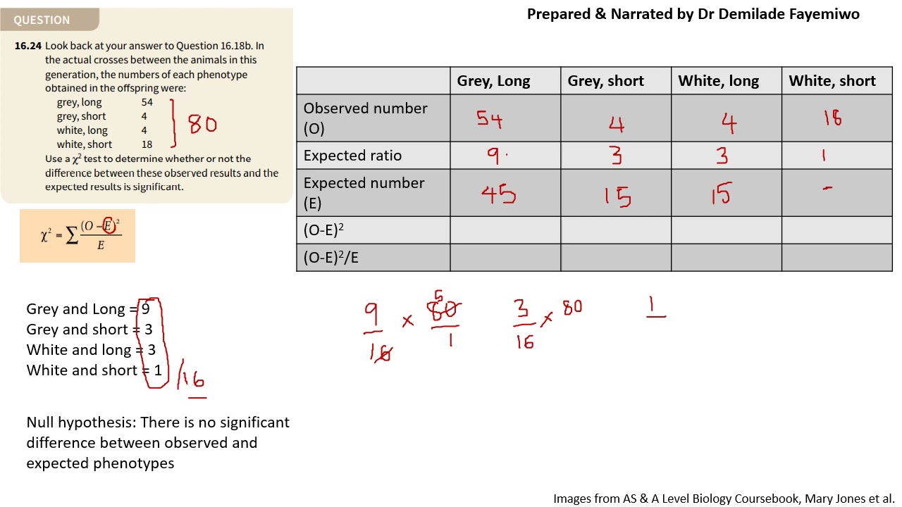Chapter 16.4: How to do the Chi-squared test