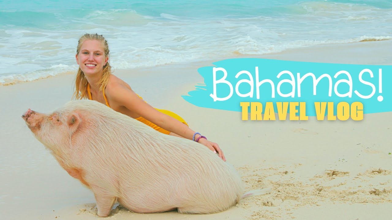 Sandyport Beach Resort 🌴 15 mins from Nassau Bahamas | Queen's Staircase | Swimming Pigs