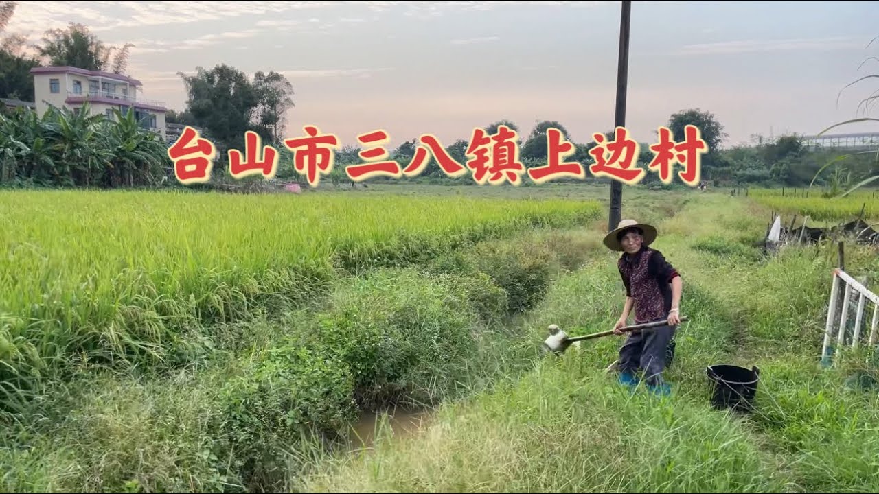 台山百曉：今日分享視頻拍攝地點是台山市白沙鎮三八上邊村，人生匆匆，你我亦是行人！有時候青春相別，再見時皆已白頭，彼此如同一面鏡子，照出了歲月的流逝！#toisan #台山 #taishanese