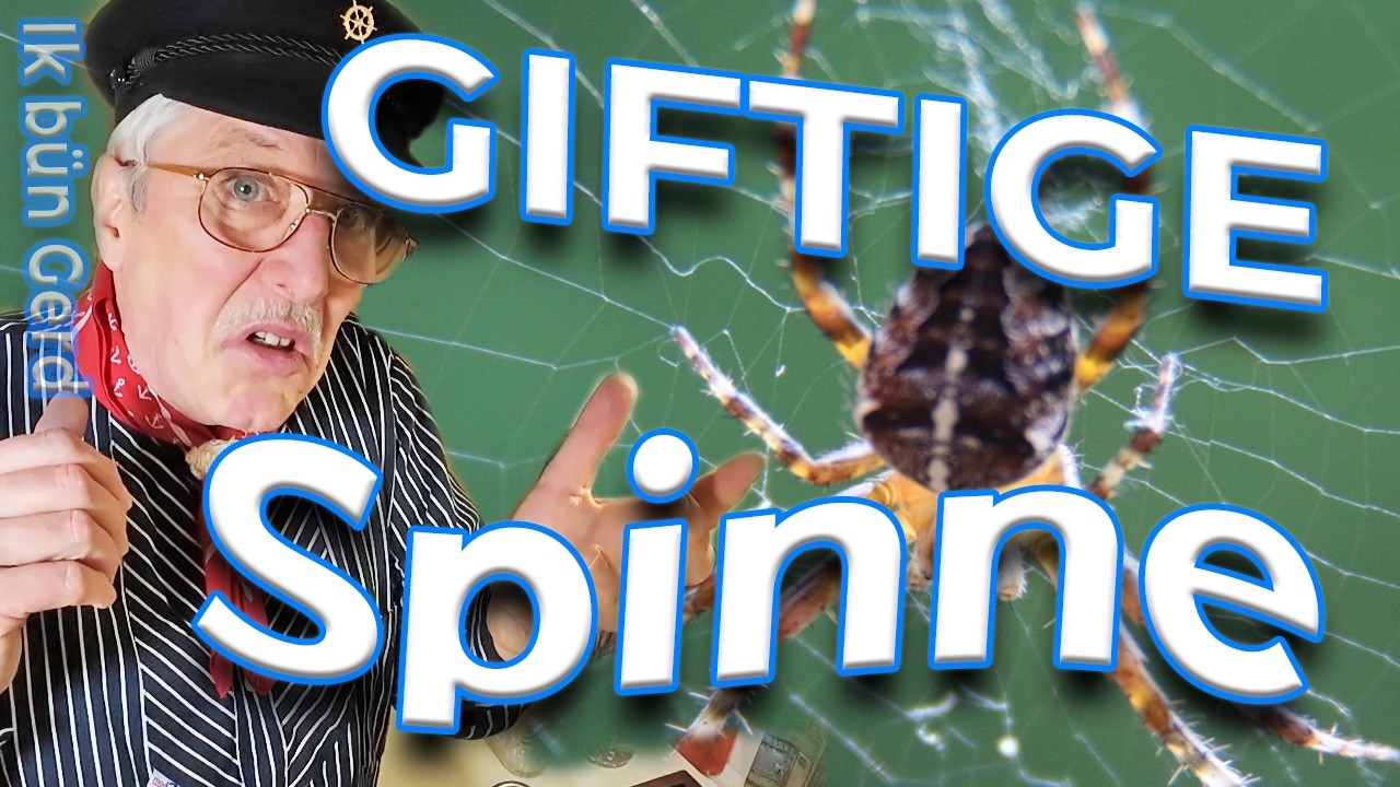 Gartenkreuzspinne: Ist die HÄUFIGSTE Spinne im Garten giftig? Angst-Check!