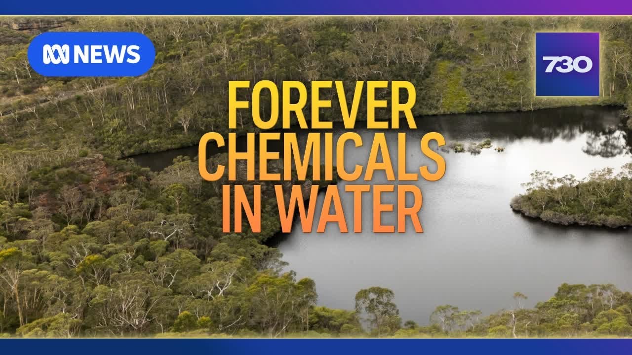 Blue Mountains residents demand answers about PFAS in their water | 7.30
