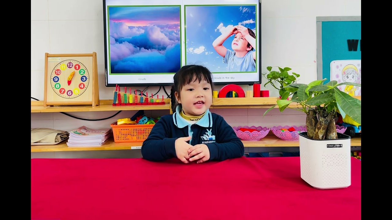 Lê Phương Tuệ Anh