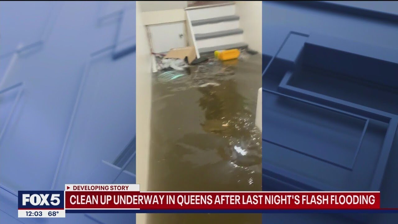Clean up underway in Bayside after flash flooding