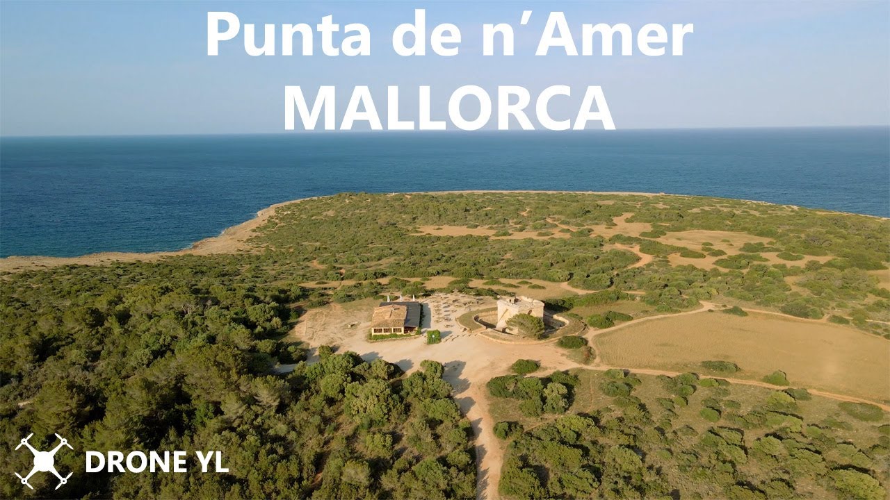 Punta de n'Amer - Forest & Sea // Mallorca from Drone 2023