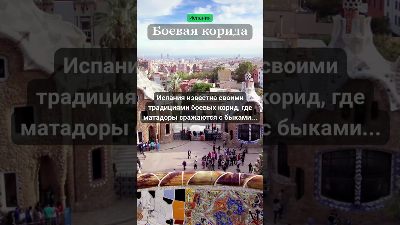 Боевая коррида