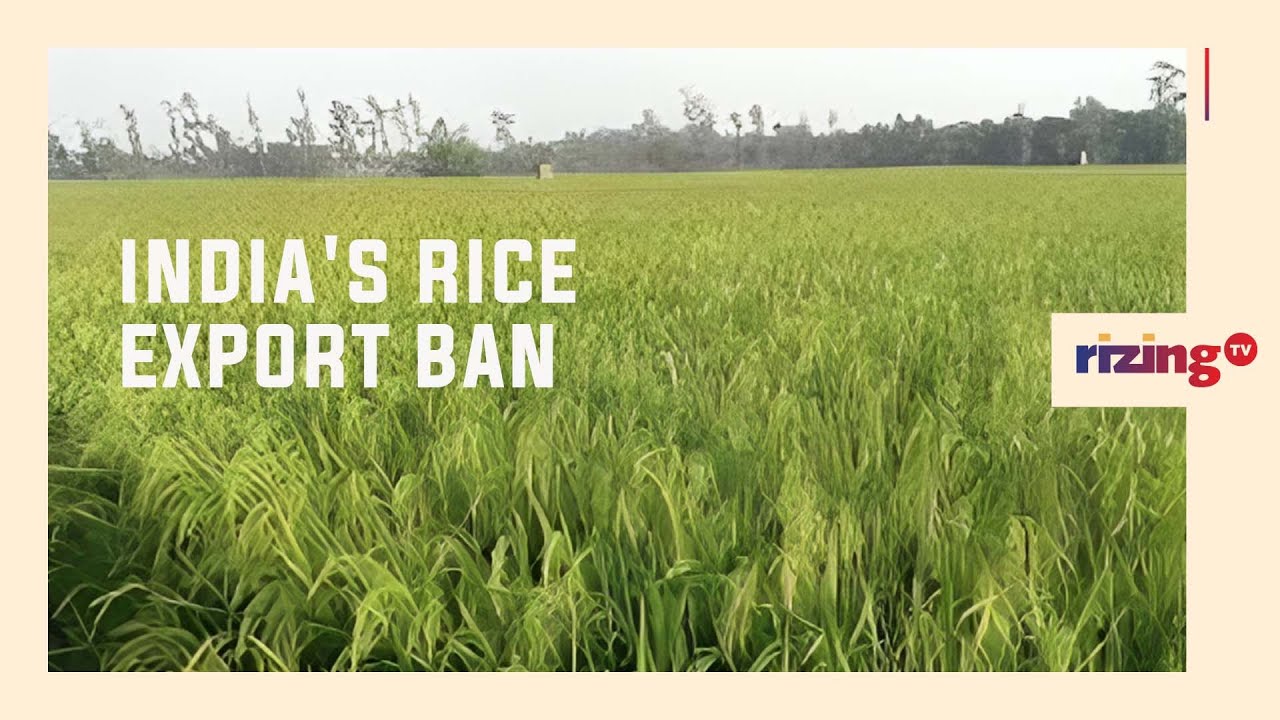 Could India's Rice Export Ban Lead To A Global Food Crisis?