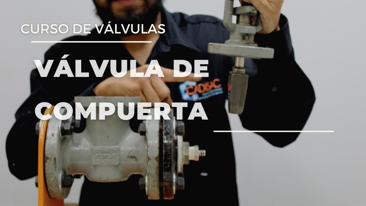 valvula de compuerta. Partes internas.