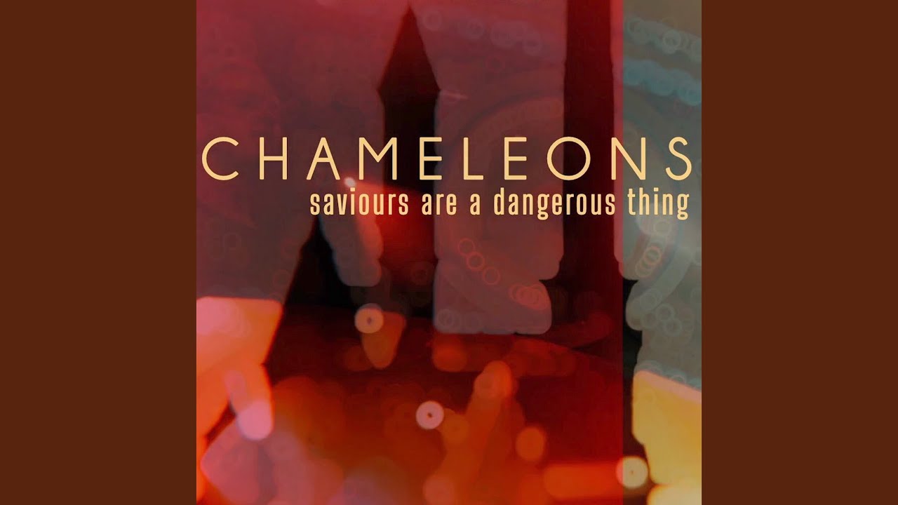 Saviours Are a Dangerous Thing