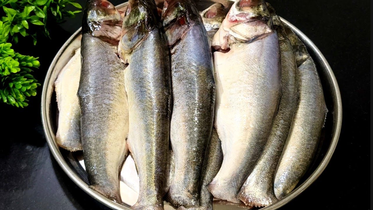 90% लोगों को नहीं पता साबूत फिश करी बनाने का ये अनोखा तरीका | Fish Curry Recipe | Asifa Foodies