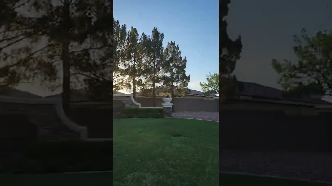 William Flowers in retirement -Doing our morning walk