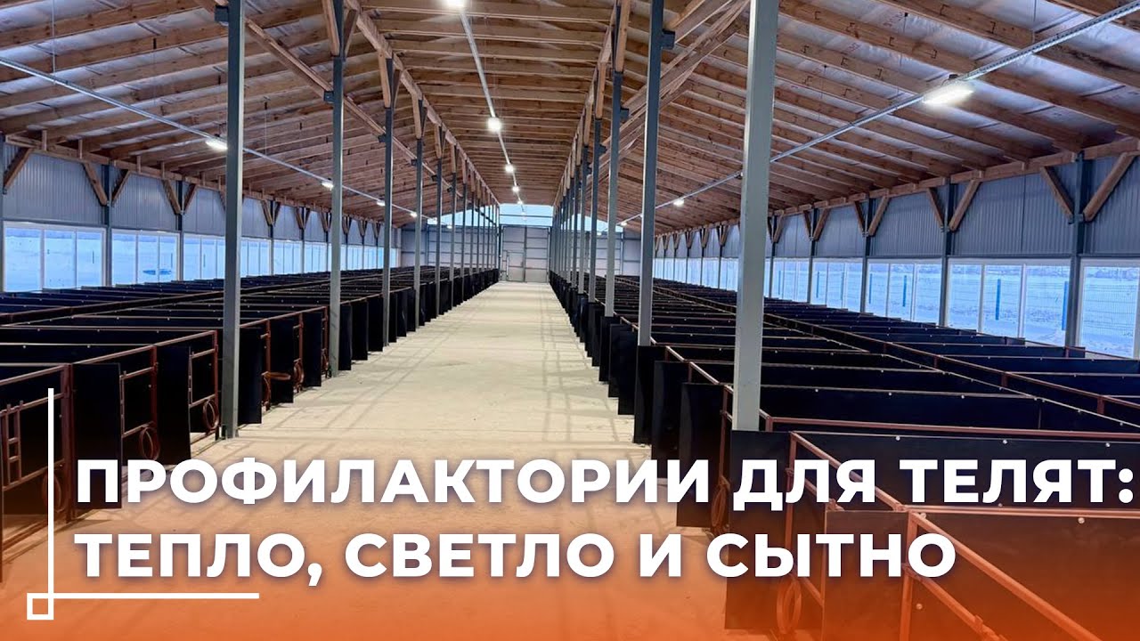 Семинар по строительству современных профилакториев прошёл на базе молочно-товарного комплекса