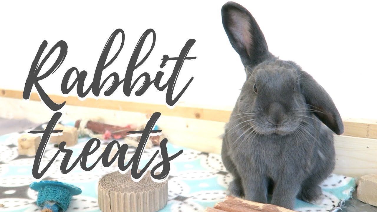 Good And Bad Rabbit Treats