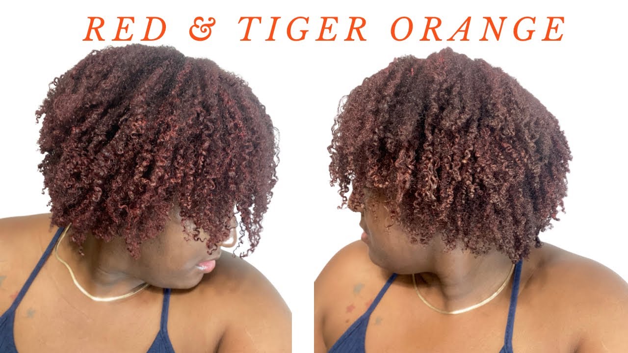 Recreating Influencer Dayelasoul two toned hair color w/ #asiam #hairpaintwax | Asiam formula change