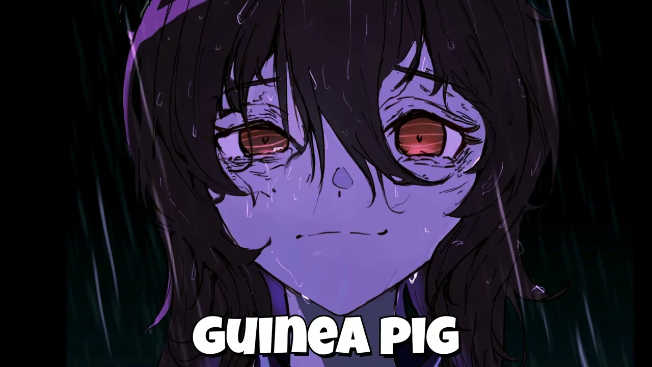 Uma Musume - Guinea Pig