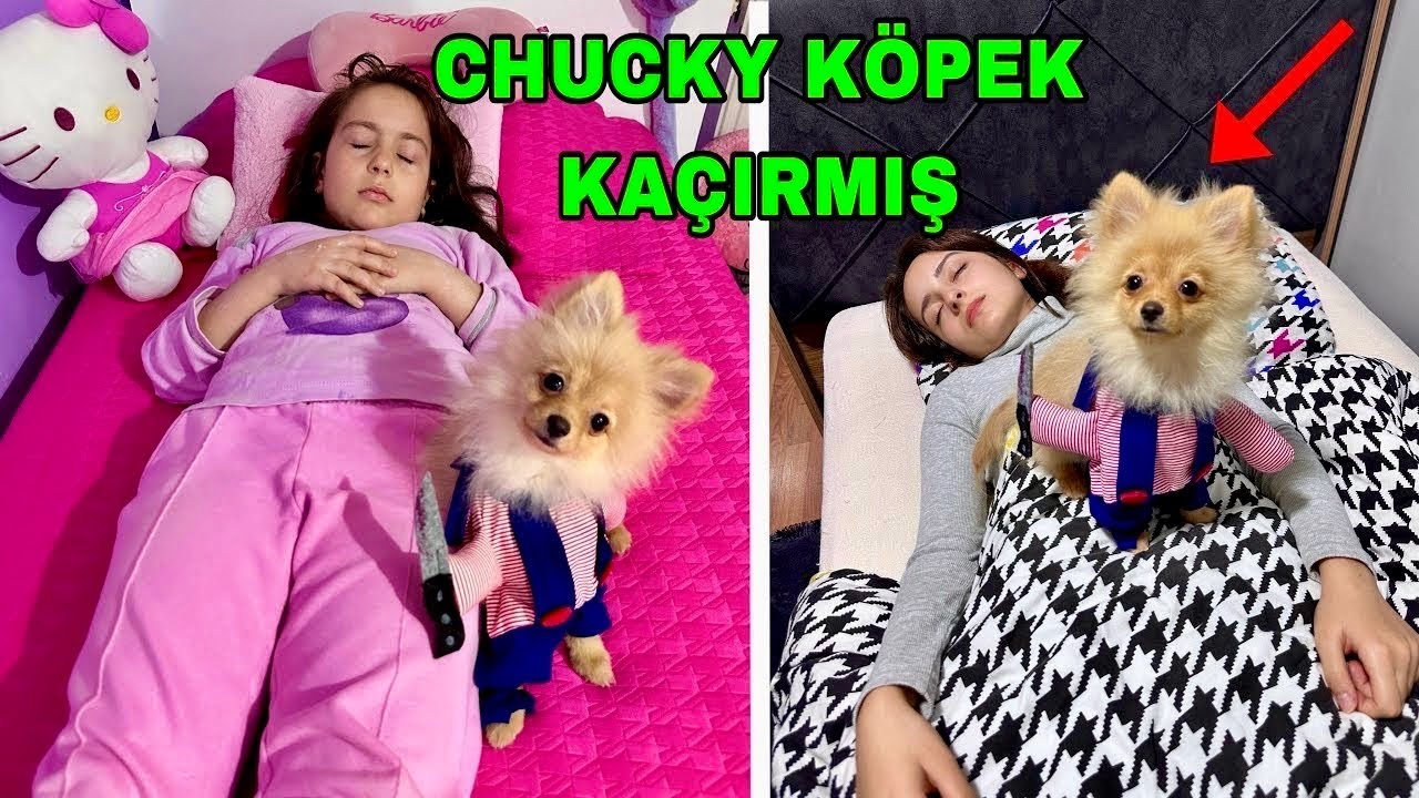 EYVAH‼️CHUCKY KÖPEK ZEYNEP VE HİRANUR KAÇIRIP ESİR ALMIŞ‼️