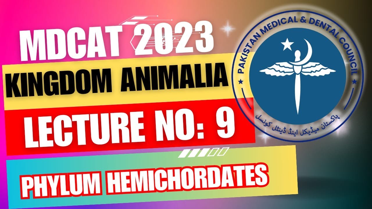 Kingdom Animalia Lecture Number 9&nbsp;Phylum Hemichordates.