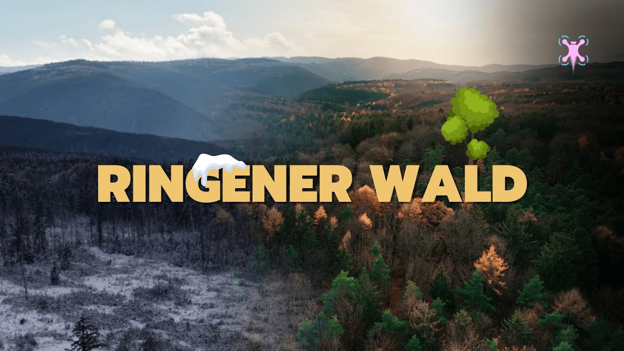 Fall and Winter - Ringener Wald [4k]