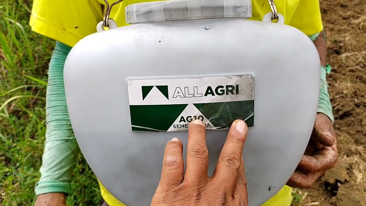 🤠Plantio Semente de Capim Marandu (Brachiaria brizantha) - 10Kg🚜💪