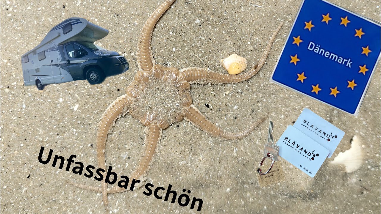 Eindrücke Campingplatz Hvidbjerg Strand (Dänemark) im Herbst 2022