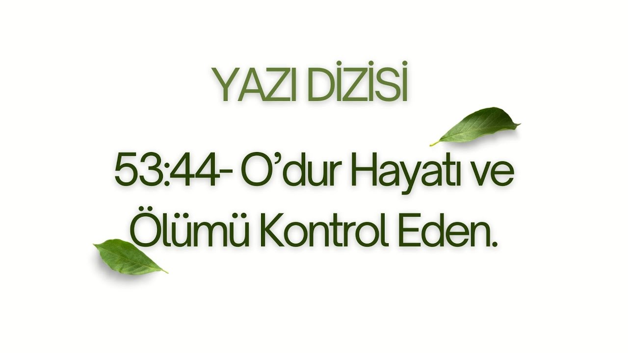 Yazı Dizisi- 