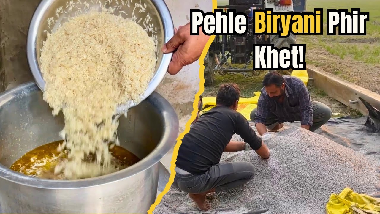 Aaj Mehnati Logon Ko Mutton Biryani Khilayi… Aur Phir Gehun Ka Full Kaam 