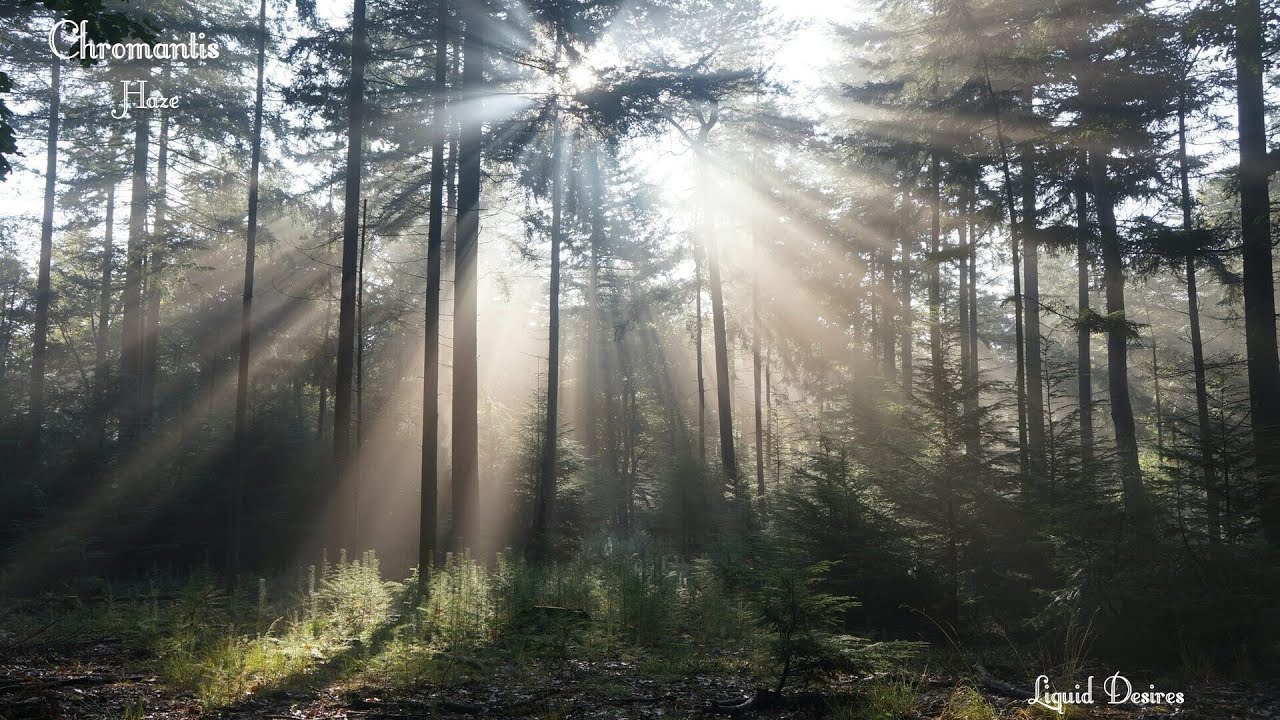 Chromantis Haze(OUT NOW)#atmospheric #liquiddnb #chilled #music #drumandbass #2025 #ukdnb #vox #dnb